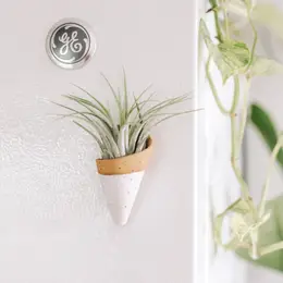 Magnetic Ceramic Air Plant Cone