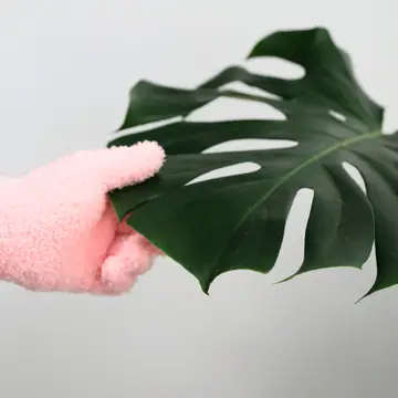 Leaf Shining Gloves