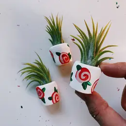 Mini Air Plant Holder with Air Plant