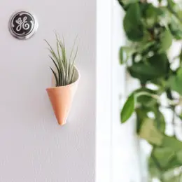 Magnetic Ceramic Air Plant Cone