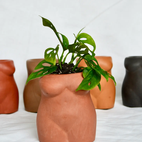 Female Shape Planter