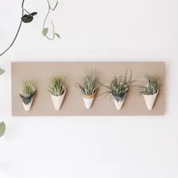 Horizontal Wall Planter