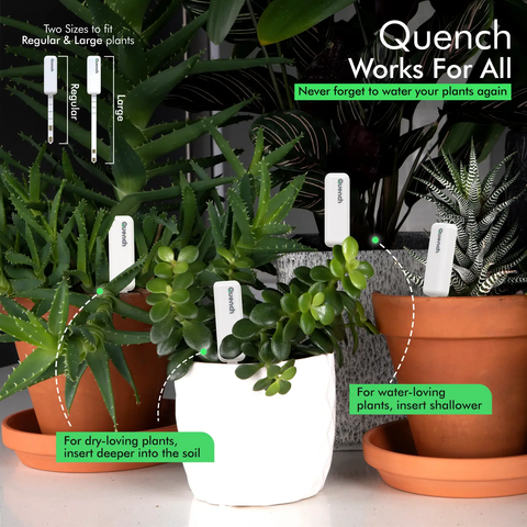 Quench Houseplant Watering Alarm