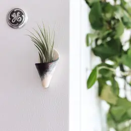 Magnetic Ceramic Air Plant Cone