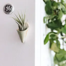 Magnetic Ceramic Air Plant Cone