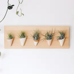 Horizontal Wall Planter