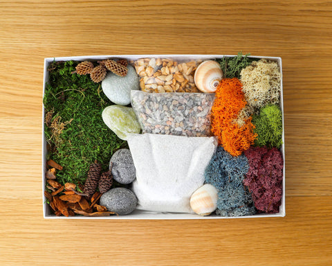 Terrarium Landscape Kit