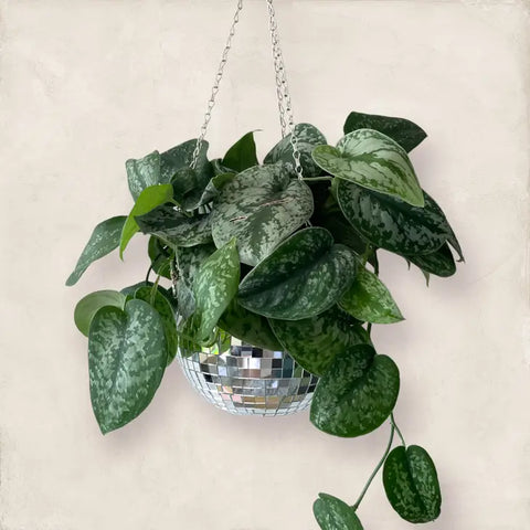 Disco Ball Hanging Planter