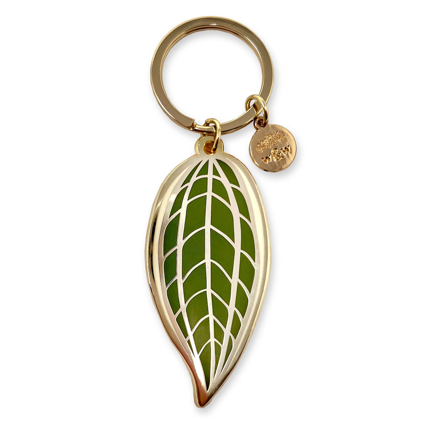 Keychain - Hoya Latifolia Albomarginata (Macrophylla) Leaf