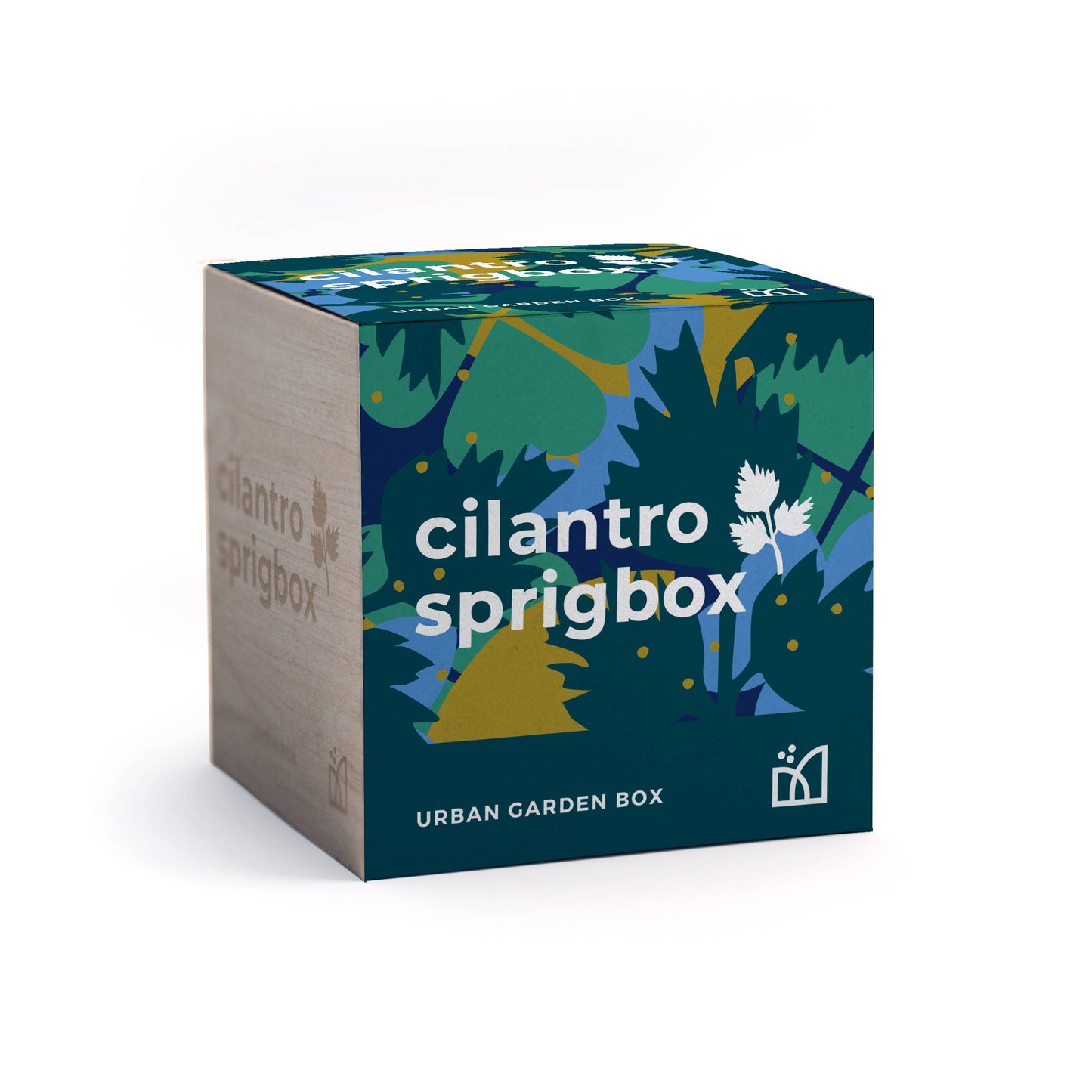 Cilantro Grow Kit