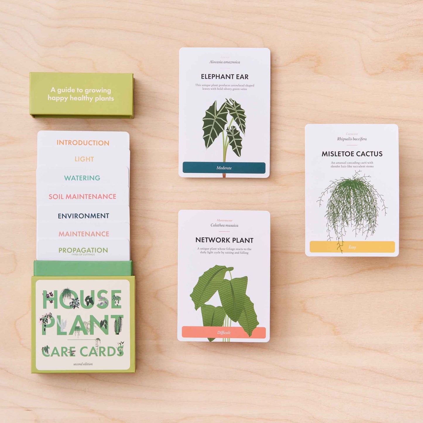 Houseplant Care Cards - Edition 2