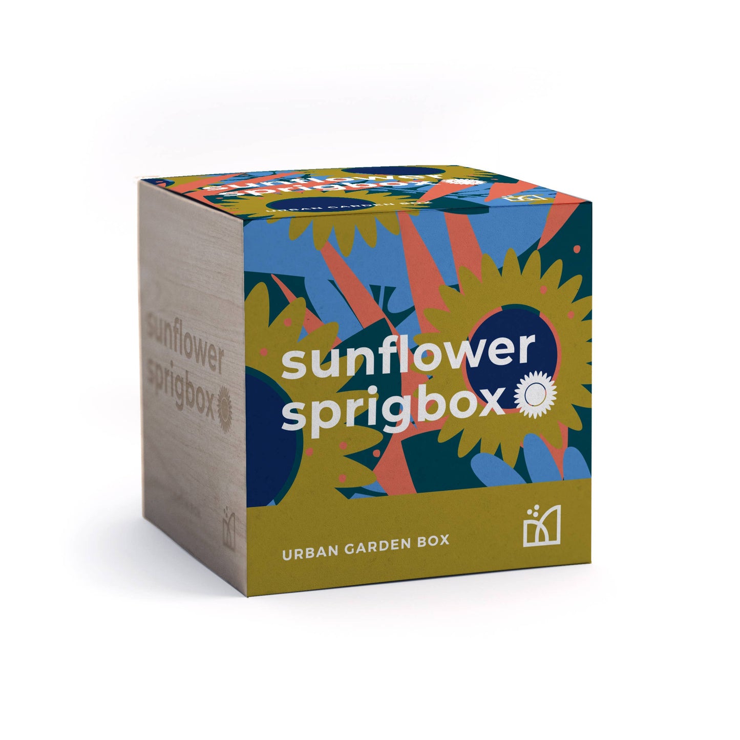 Sunflower Grow Kit
