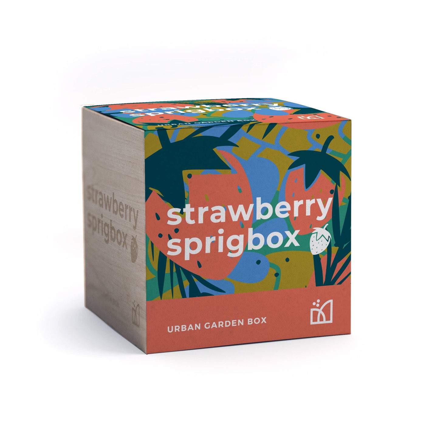 Strawberry Grow Kit