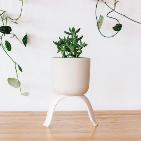 High Rise Planter