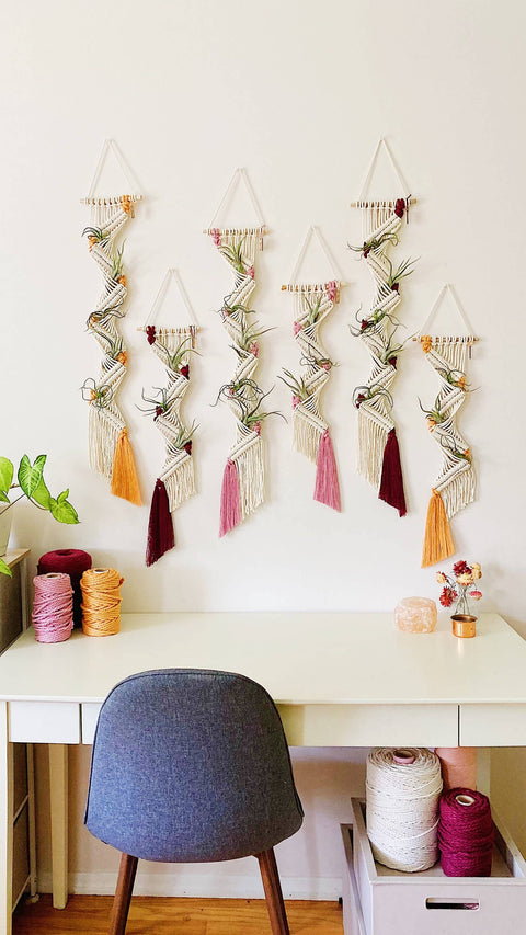 Macrame Air Plant Holder/Unique Geometric Wall Hanging