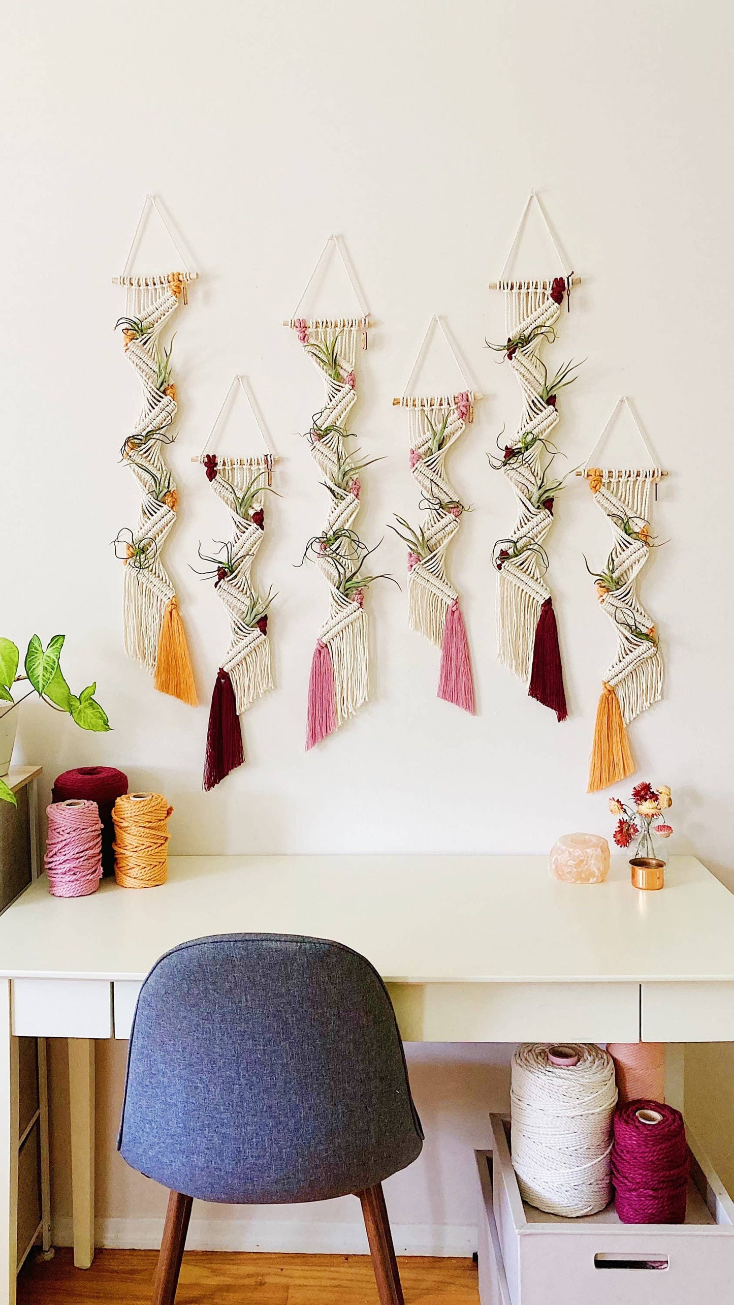 Macrame Air Plant Holder/Unique Geometric Wall Hanging