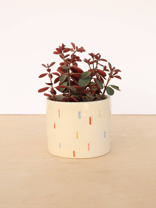 Small Ceramic Planter - Confetti