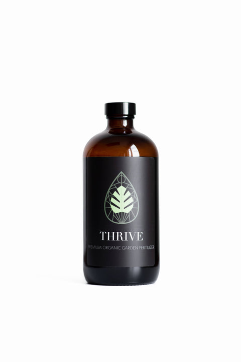 Thrive +