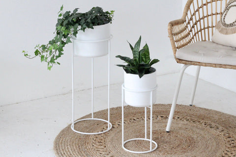 Sprout Plant Stand + Planter