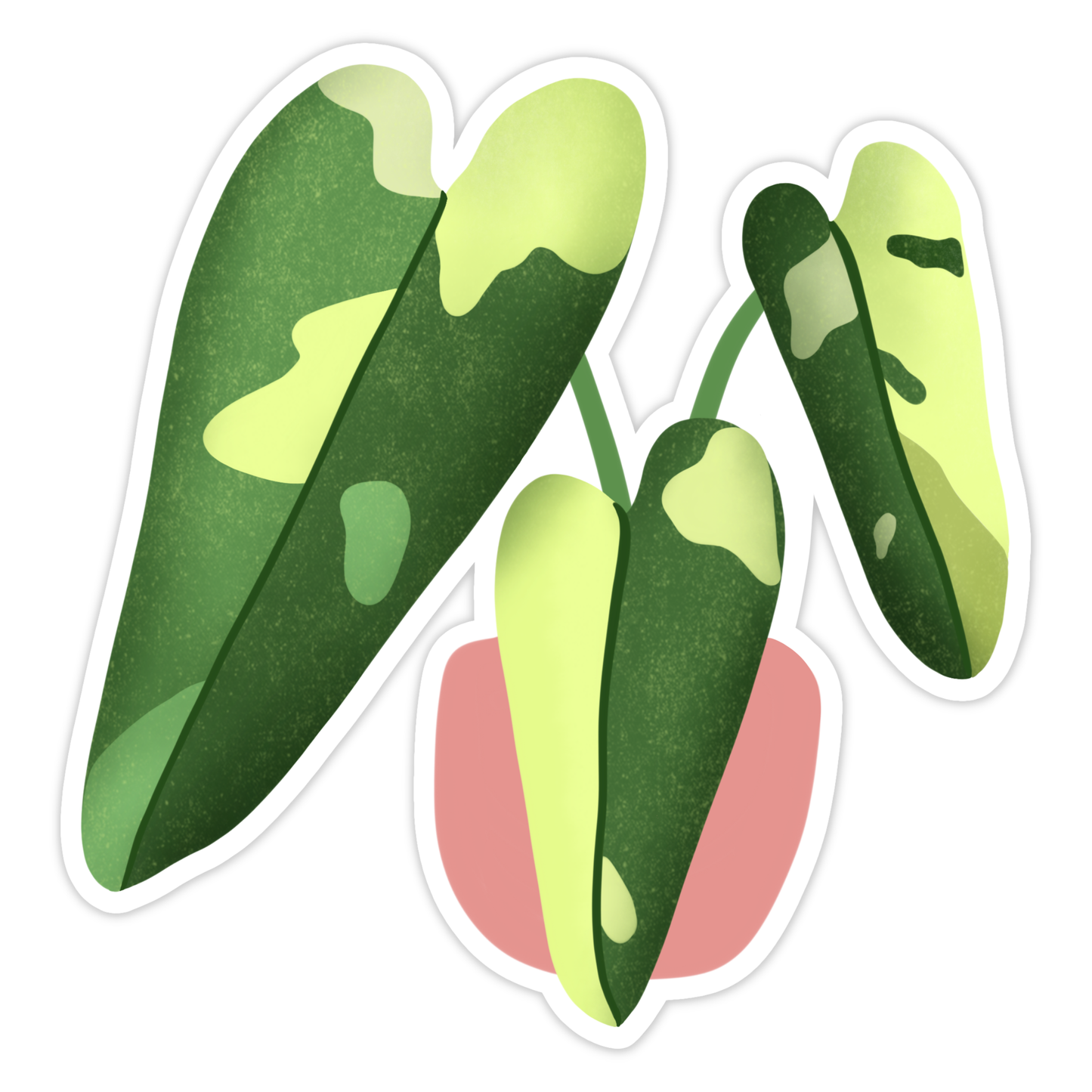 Philodendron Jose Buono Sticker