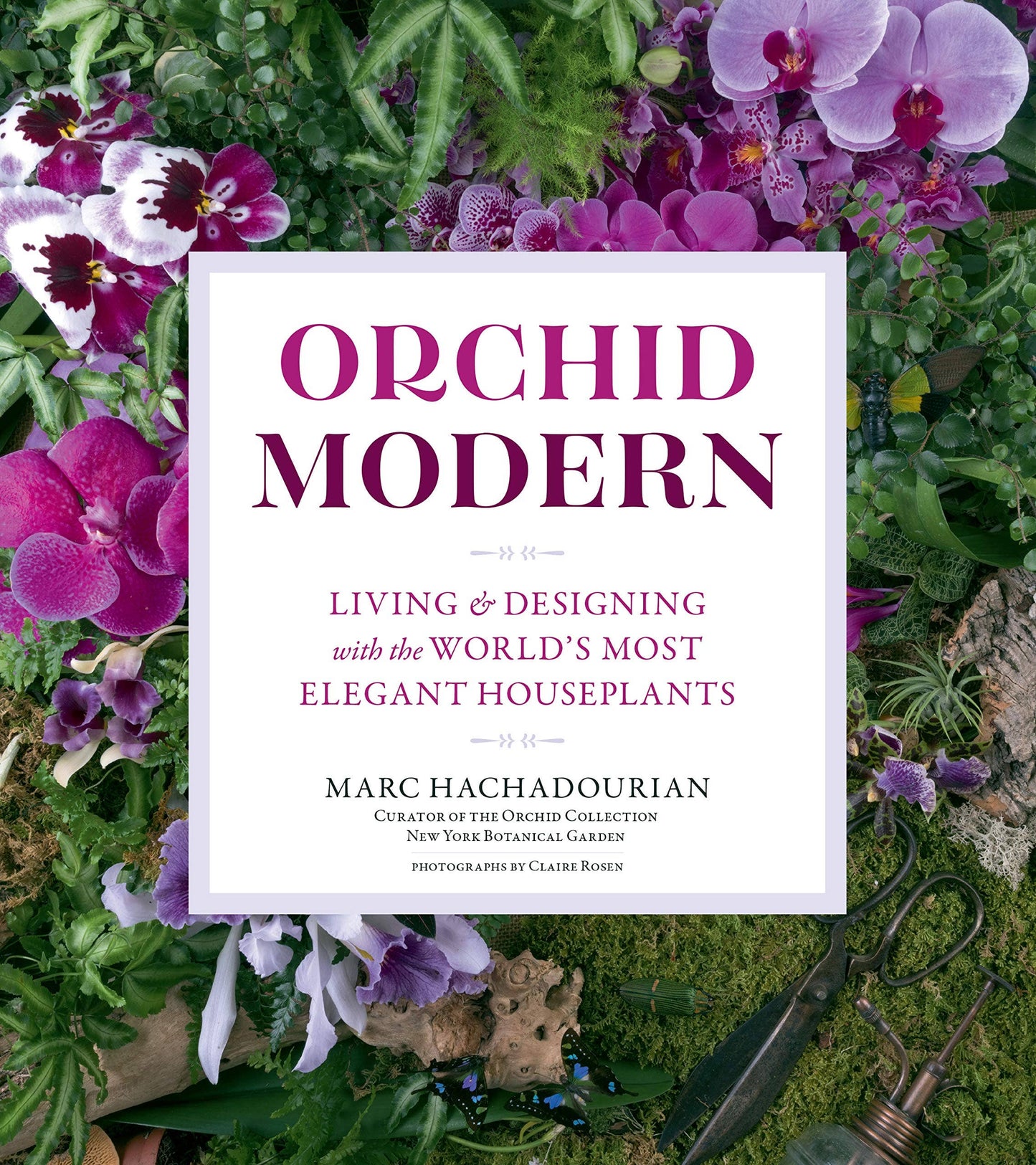 Orchid Modern: Living and Designing with Elegant Houseplants