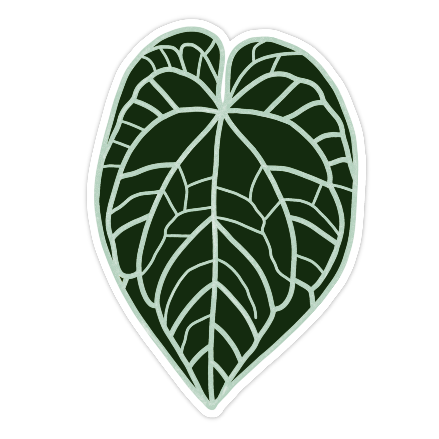 Anthurium Crystallinum Plant Leaf Sticker