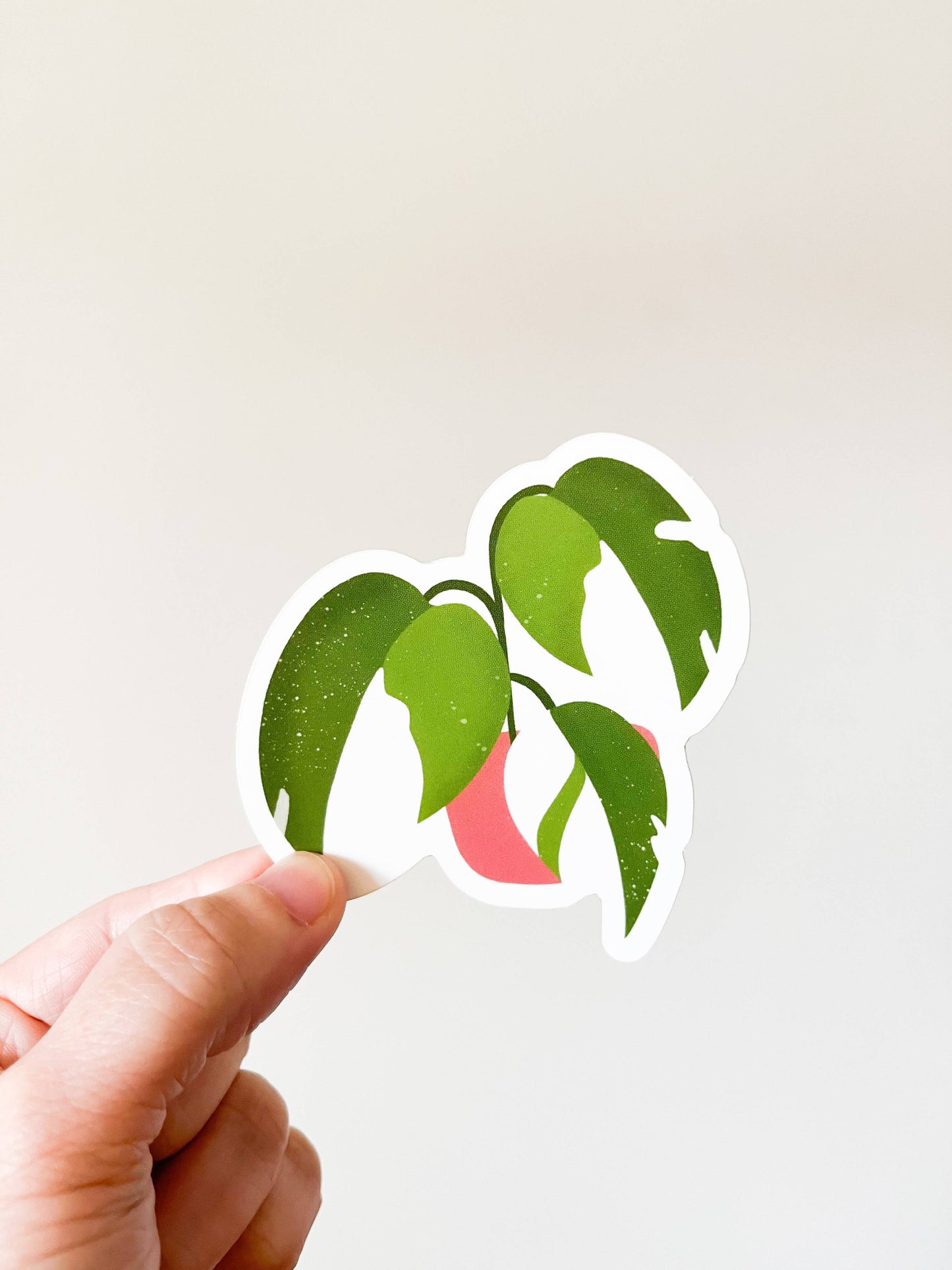 Seconds White Wizard Philodendron Sticker