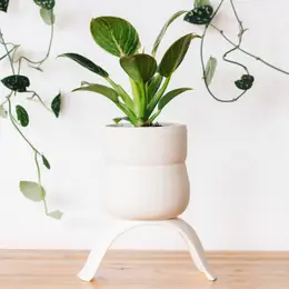 High Rise Planter