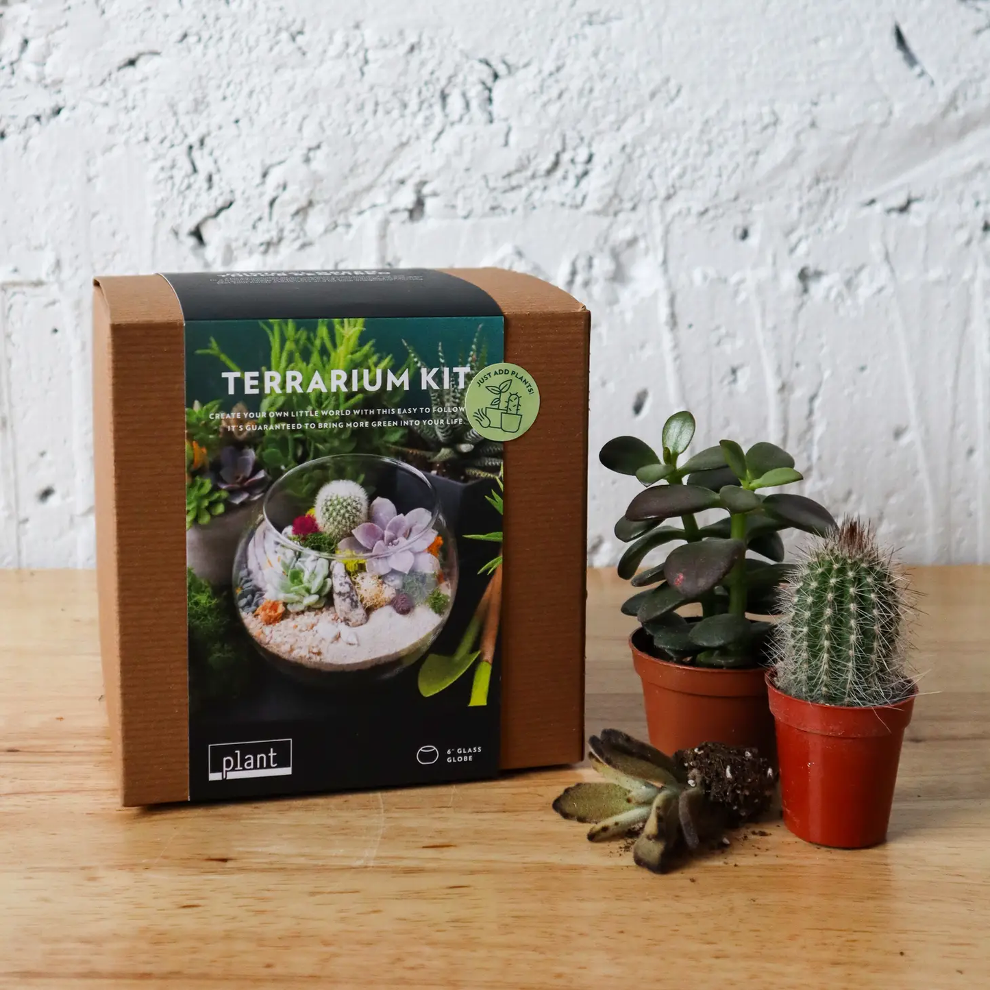 Terrarium Kit : Globe