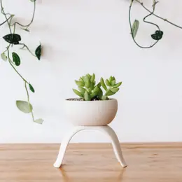 High Rise Planter