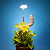 Adjustable LED Plant Light