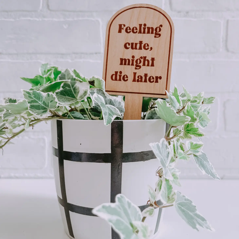 Plant Stakes