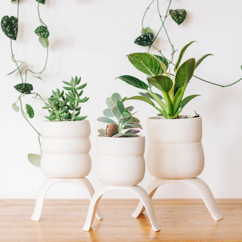High Rise Planter