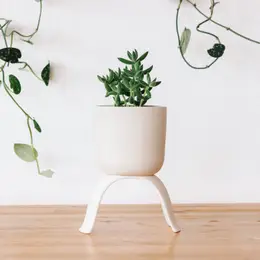 High Rise Planter