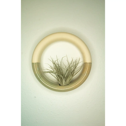 Pistachio Sweet Roll