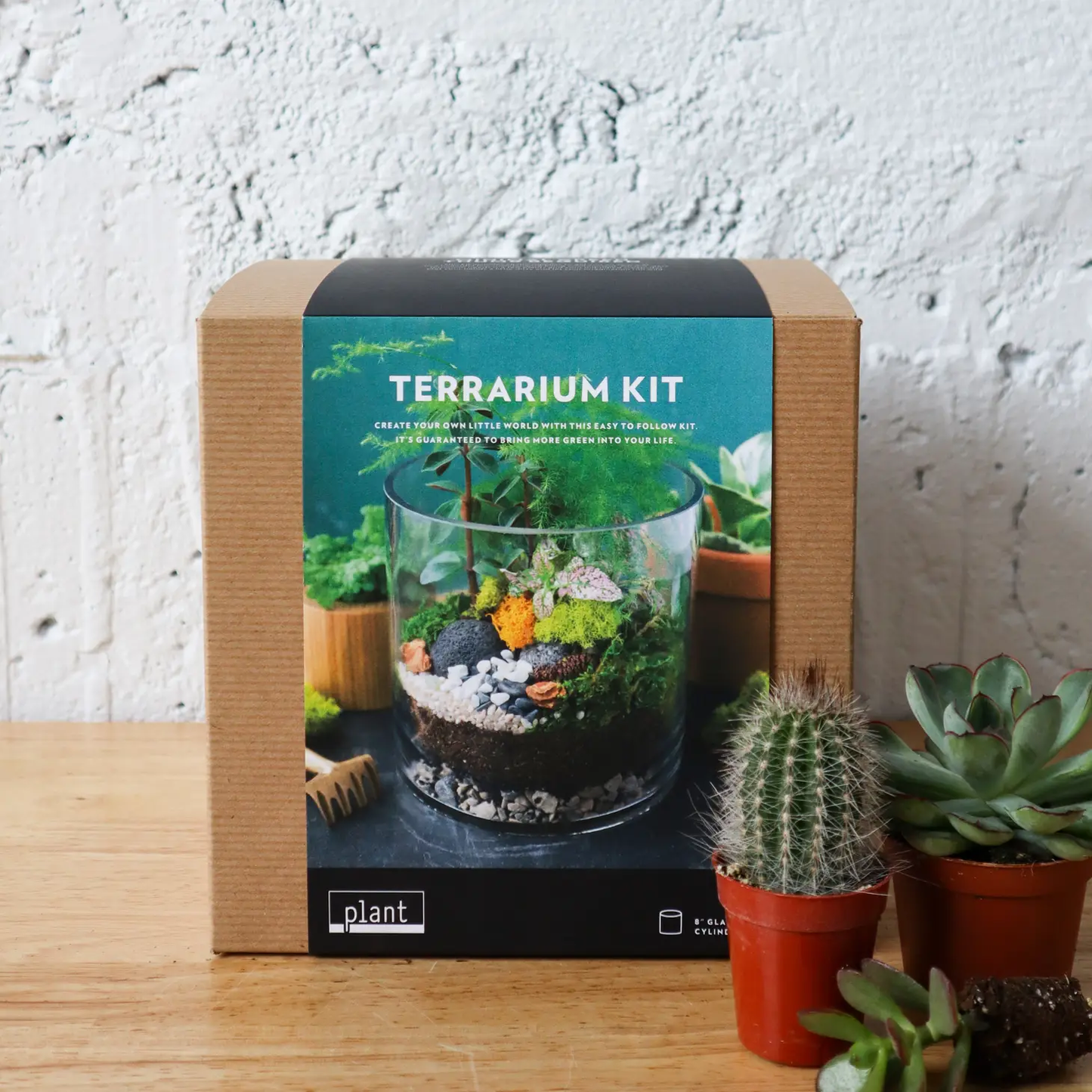 Terrarium Kit : Large Cylinder