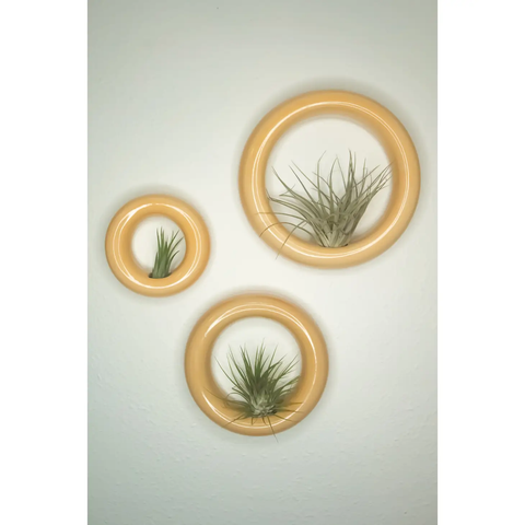 Sour Peach Sweet Roll