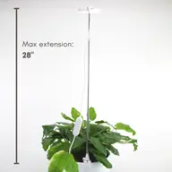 Adjustable LED Plant Light