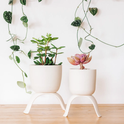 High Rise Planter