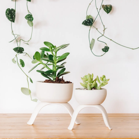 High Rise Planter