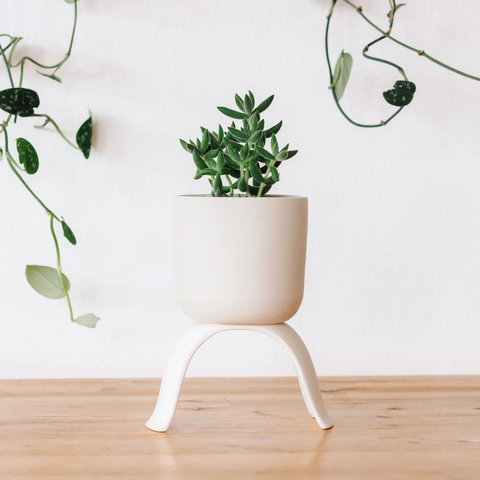 High Rise Planter