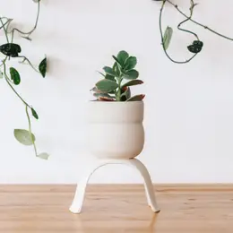 High Rise Planter