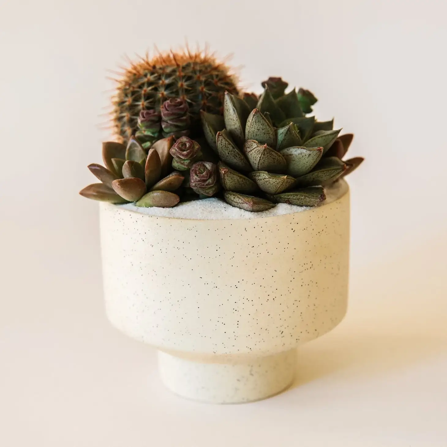 Speckle Footed Pot