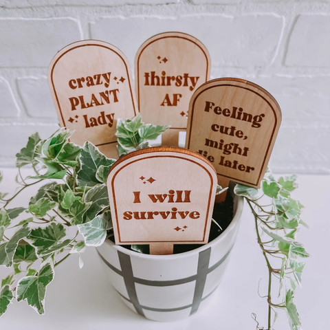 Plant Stakes