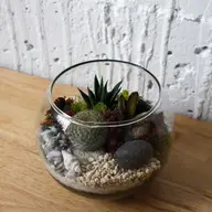 Terrarium Kit : Globe