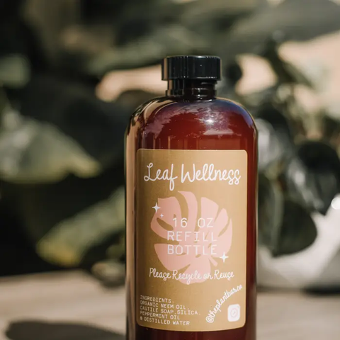 Leaf Wellness - All Natural Leaf Shine