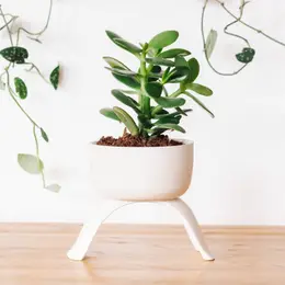 High Rise Planter