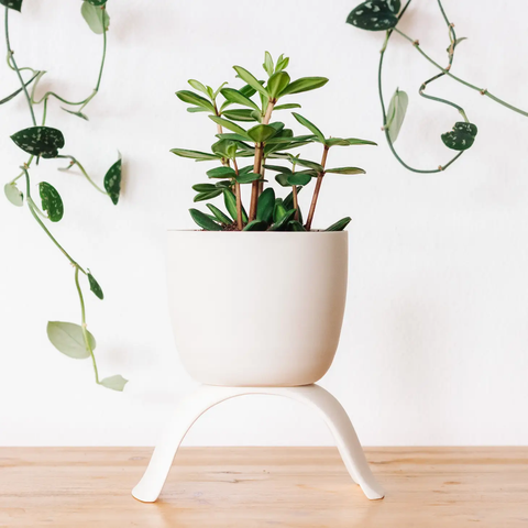High Rise Planter