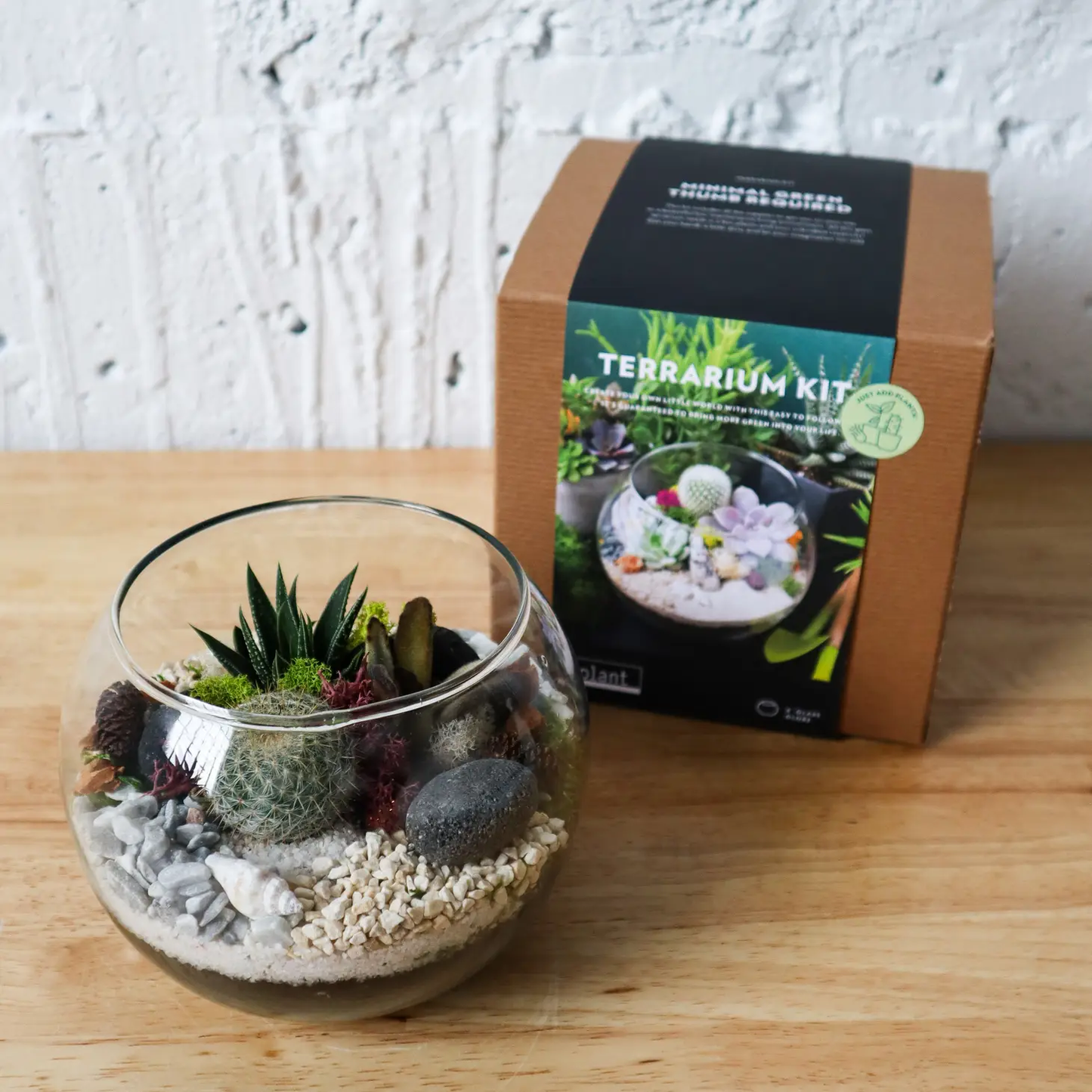 Terrarium Kit : Globe