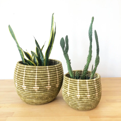 Honey Pot Woven Basket